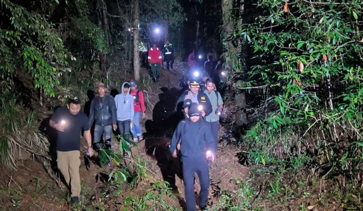 Terkuak! Hutan Lindung Gowa Gundul Akibat Pembalakan Liar Sistematis, Siapa Dalangnya?
