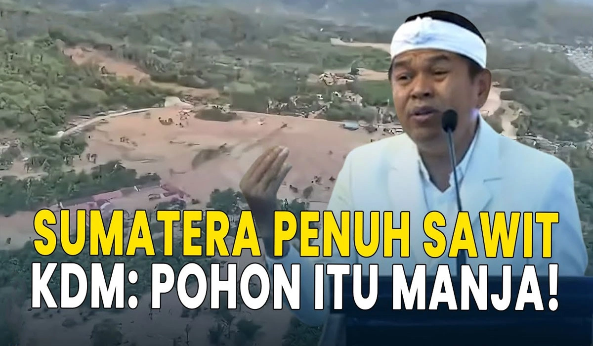 KDM Sindir Penyebab Bencana Banjir Sumatera Penuh Sawit, Pohon Manja!