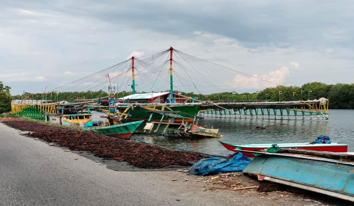 Mencekam! Pesisir Indonesia Terancam, Pembangunan Mengabaikan Batas Daya Dukung Alam