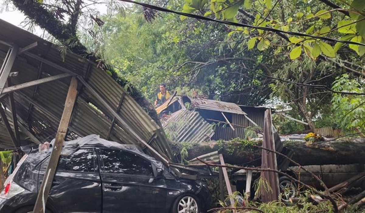 Geger! Angin Kencang Terjang Sleman, Pohon Tumbang Timpa Mobil dan Rumah Warga